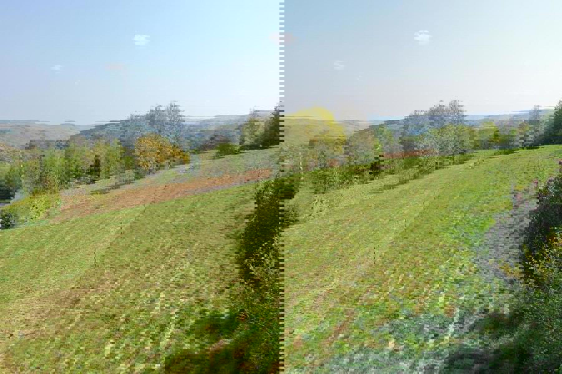 Terrain à vendre à Erezée - photo 3