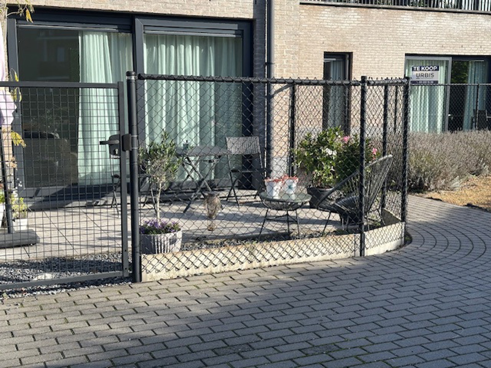 Appartement te huur in Lokeren met 1 slaapkamer - foto 3