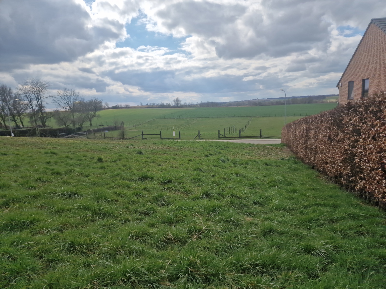 Grond te koop in Hoegaarden - foto 5