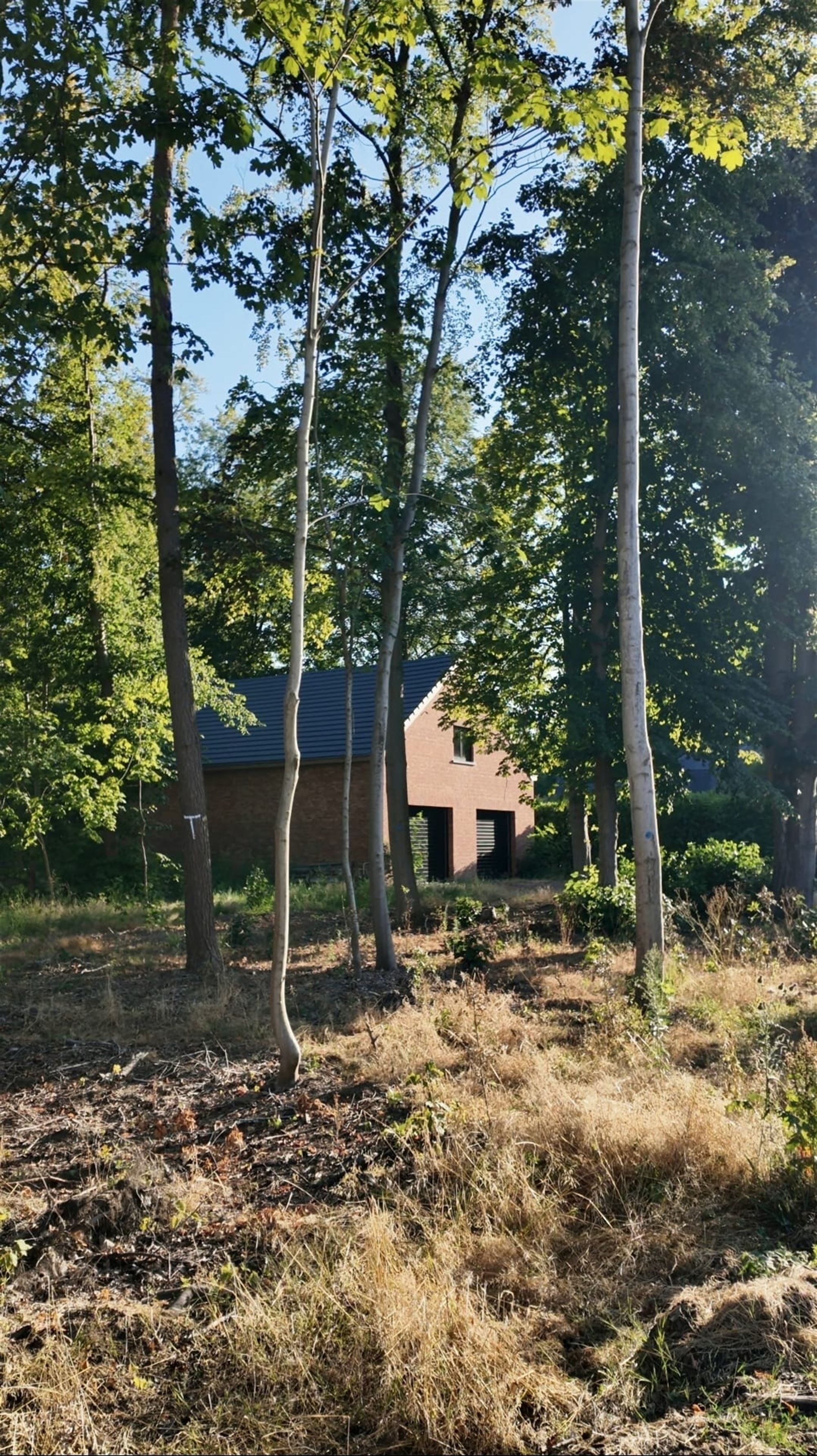 Bouwgrond op een uitzonderlijke locatie in Oud-Heverlee - foto 4