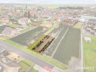 In de aangename en rustige omgeving van Vossebilk in Zwevezele bevindt zich deze mooie bouwgrond met een oppervlakte van 784 m². Het perceel is...
