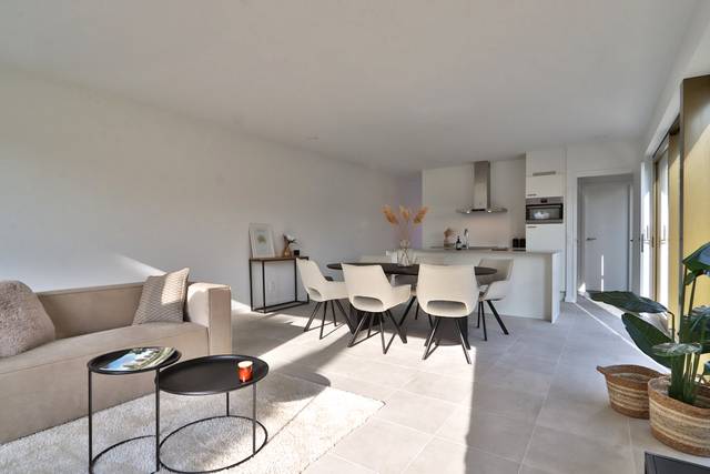 Project for sale in Beveren