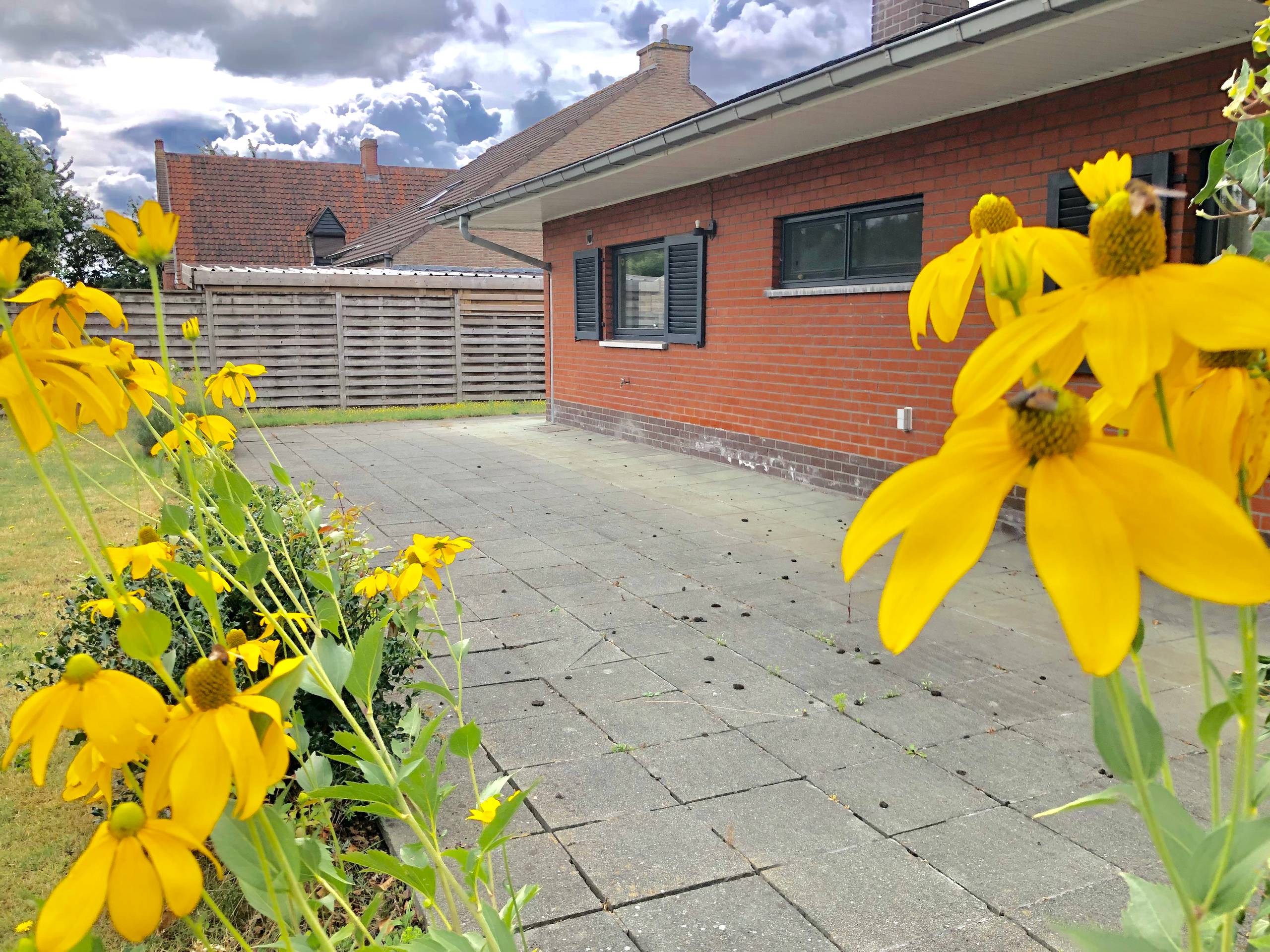 Wevelgem - Ruime alleenstaande woning op rustige ligging - foto 4