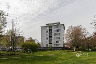 <p><span>Kerkeveldlaan 41 (5e verd.) - Deurne</span></p><p><span> </span></p><p><span>Ideaal startersappartement (49 m²) met 1 slaapkamer in Deurne.</span></p><p><span> </span></p><p><span>Je woont hier op een rustige locatie aan de voet van het Bisschoppenhofpark, terwijl je tegelijk geniet van een uitstekende bereikbaarheid. Dankzij de nabijheid van de Bisschoppenhoflaan en de Ter Heydelaan zijn er tal van openbare vervoersmogelijkheden en bereik je de snelweg in een mum van tijd. Ook velo-stations bevinden zich op wandelafstand.</span></p><p><span>Het appartement is gelegen op de vijfde verdieping van een goed onderhouden gebouw van 7 hoog, waarvan het dak reeds geïsoleerd werd. De vaste kosten bedragen €115/maand en de verwarming is gemeenschappelijk op mazout. In 2014 werden nieuwe PVC-ramen geplaatst en de elektriciteit is conform.</span></p><p><span>Dankzij de hoge ligging geniet je hier van een aangename lichtinval en een open zicht over de omgeving. Het appartement omvat een lichtrijke woonkamer (25 m²), een aparte keuken (4 m²) met basisuitrusting, een slaapkamer (12 m²) en een badkamer (4 m²) met douchecabine, toilet, handdoekdroger en lavabomeubel.</span></p><p><span>Tot slot zijn er nog een privatieve kelderberging en een gemeenschappelijke fietsenstalling aanwezig.</span></p><p><span>Ben je op zoek naar een betaalbaar startersappartement of een interessante investering op een goed bereikbare locatie? Mis deze kans niet! Bewoonbare opp. 49 m² – ref.: bruto vloeropp. Voor meer info of een gratis schatting surf naar </span><span><span>www.hansimmo.be</span></span></p><p><span> </span></p>