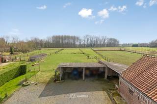 VALIMMMAS verkoopt deze rustig en landelijk gelegen hoeve op 40 are, met schuren, stallingen en weide. Het gelijkvloers (woongedeelte) bestaat...