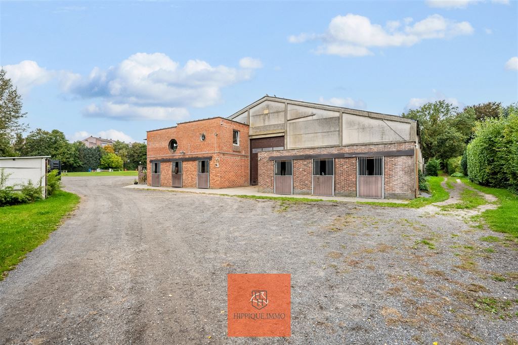 Hippisch complex met 38 stallen op ca. 1,9ha te Grimbergen - foto 4