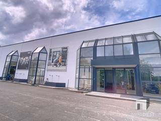 Welkom in een unieke commerciële ruimte langs de verbindingsweg Diest - Tessenderlo, met een ruime oppervlakte van maar liefst 1633m²...