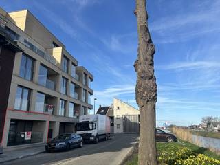 In de Rozendalstraat te Veurne vinden we dit ruim en lichtrijk gelijkvloersappartement (98m²) met 2 slaapkamers, ondergrondse staanplaats...