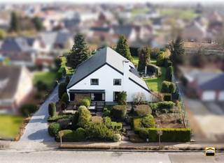 Commercial à vendre à Tongres-Borgloon