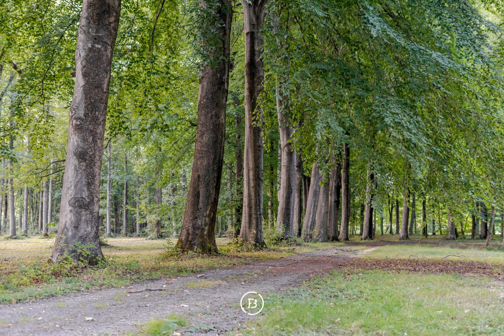 Uniek landgoed - foto 4