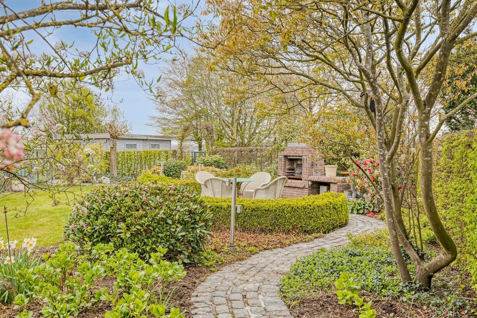 DISCOVERY DAY: ZAT. 18/04 van 10u - 12u! - foto 3