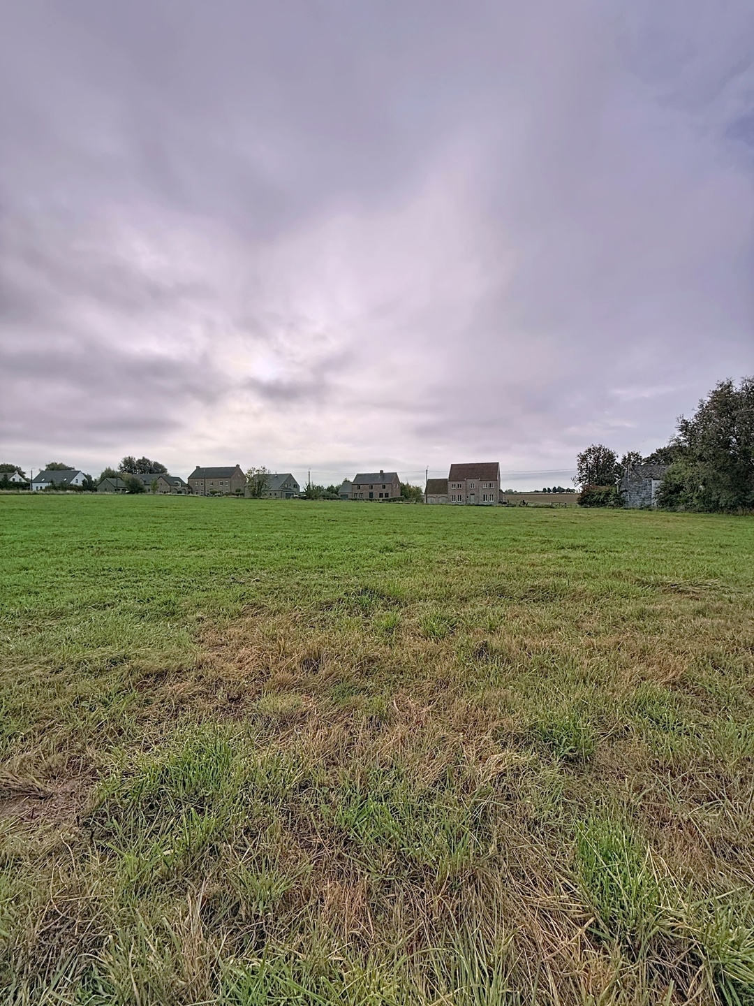 Terrain à vendre à Hannut - photo 5