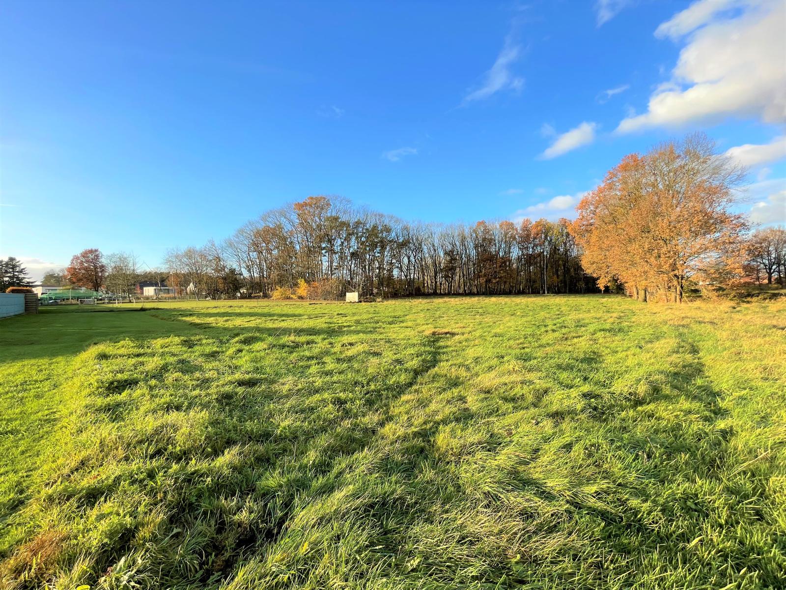 RUSTIG GELEGEN PERCEEL WEILAND OP 8661M² - foto 5