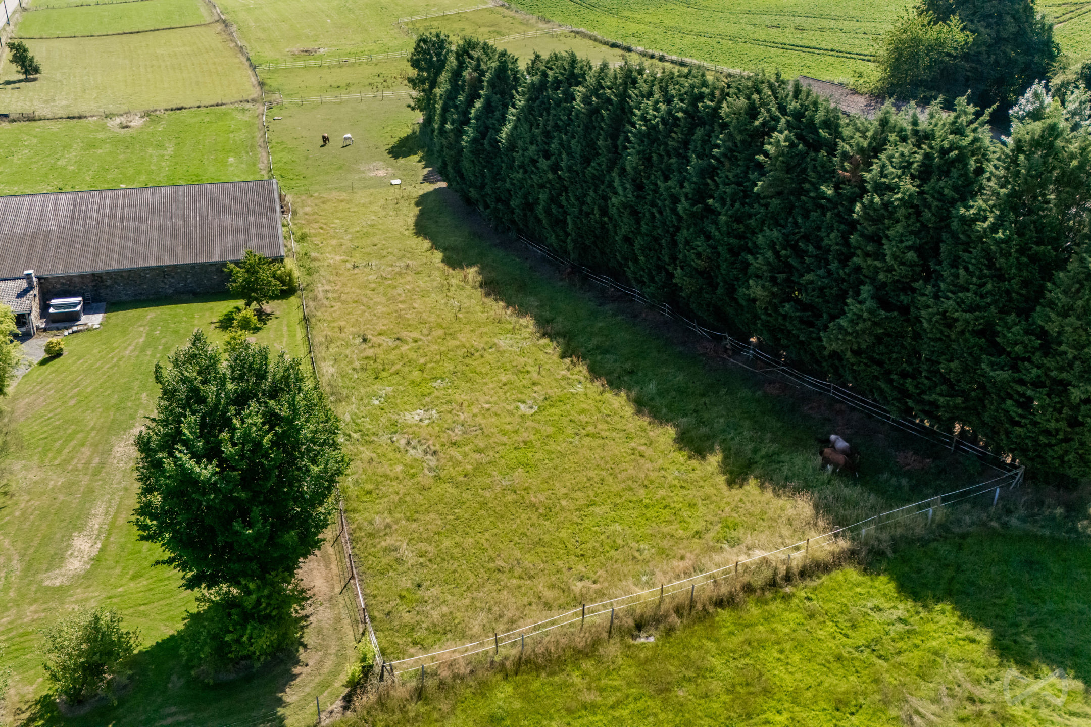 Grond te koop in Ouffet - foto 5