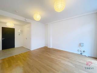 BRUSSEL – A14 - In het project "Manneken", op 20 meter van Manneken Pis, op een steenworp afstand van de Grote Markt en dicht bij het...