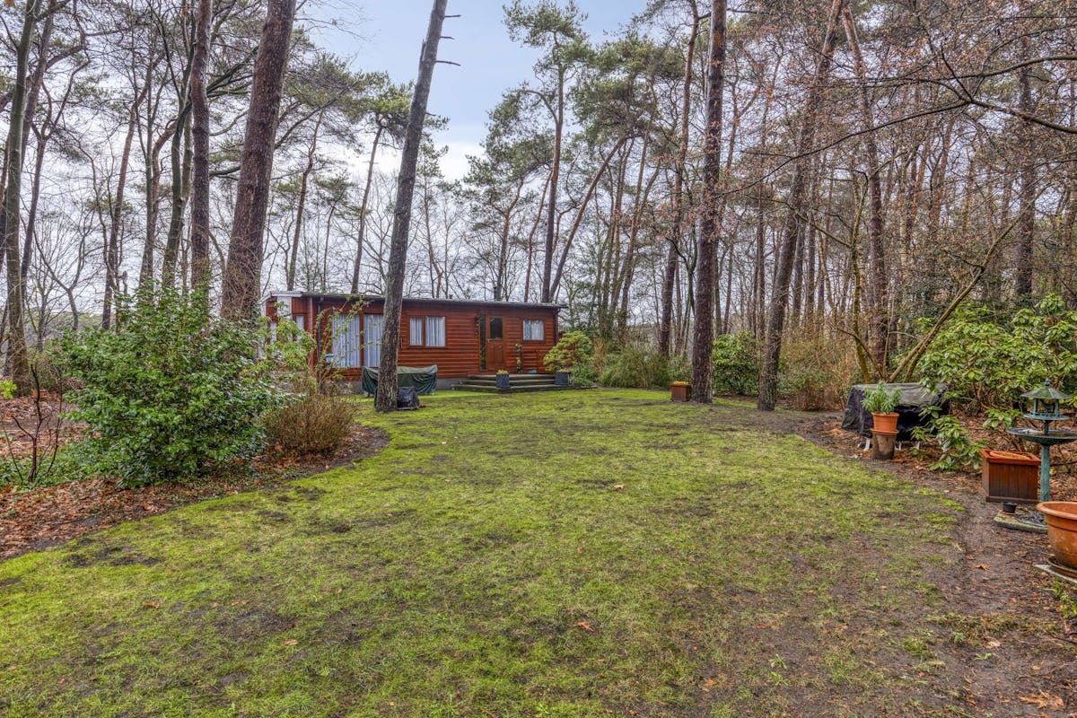 Verzorgde woning op prachtige bosgrond te koop in Wuustwezel - foto 4