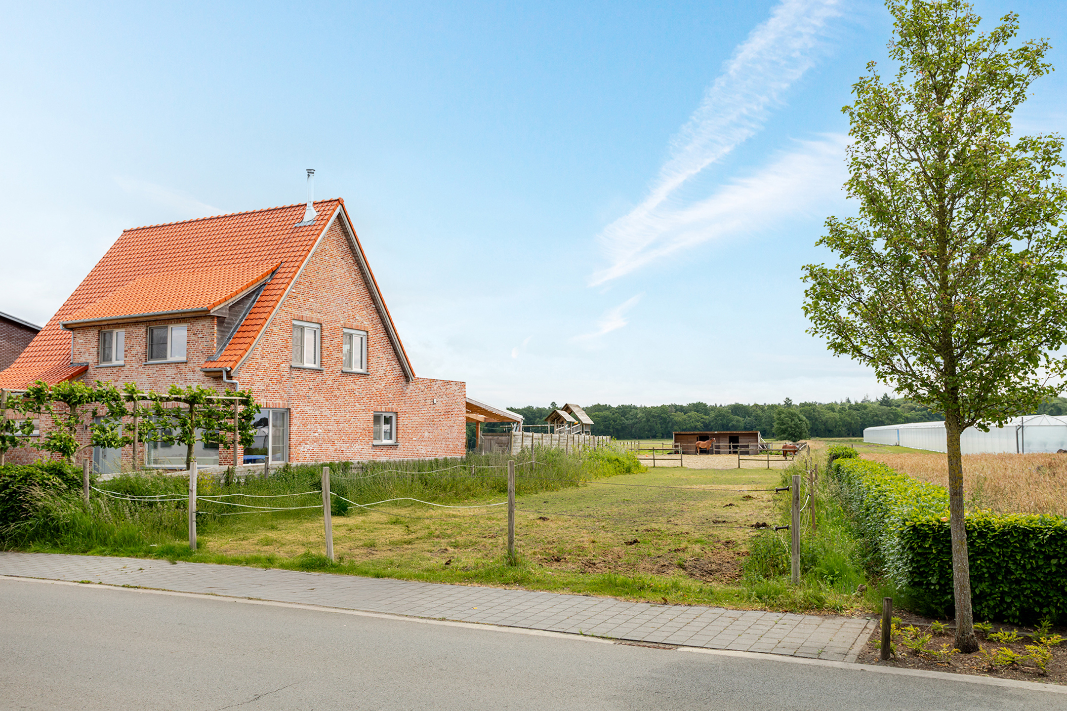 Land for sale in Ravels - photo 3