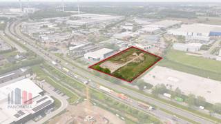 <strong>Fantastische gelegen industriegrond</strong> met een totale oppervlakte van <strong>12.782 m</strong>² te koop met zichtlocatie te Puurs-Sint-Amands.<br /><br />Op het perceel kan een <strong>bedrijfsgebouw van +/- 5.800 m</strong>² gerealiseerd worden. De grond wordt momenteel gesaneerd en <strong>gelegen in een milieubelastende industriezone</strong>. Daarnaast is de plaatsing van een HS-cabine mogelijk met een capaciteit van 630 kVa.<br /><br />Het terrein bevindt zich in de Rijksweg te Puurs-Sint-Amands, in de <strong>oksel van het op-en aftrittencomplex A12 Breendonk (7)</strong>. Deze superieure ligging biedt <strong>grote visibiliteit</strong> en een <strong>zeer vlotte aansluiting op de A12 en N16</strong> met directe verbinding naar Mechelen, Antwerpen, Sint-Niklaas en Brussel.<br /><br />De verkoop <strong>verloopt via biedingssysteem</strong> en verdere informatie, documentatie en toegang tot de dataroom zijn beschikbaar op aanvraag.<br /><br />Verdere informatie of toegang tot het volledige dossier via <strong>PANORAMA B2B</strong> op het nummer <strong>03 225 03 03</strong>.
