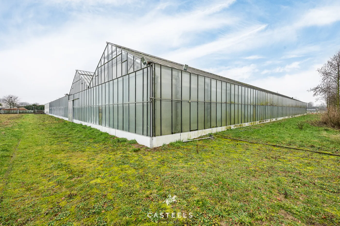 Sierteeltbedrijf 1,58 ha te koop op een toplocatie - foto 5