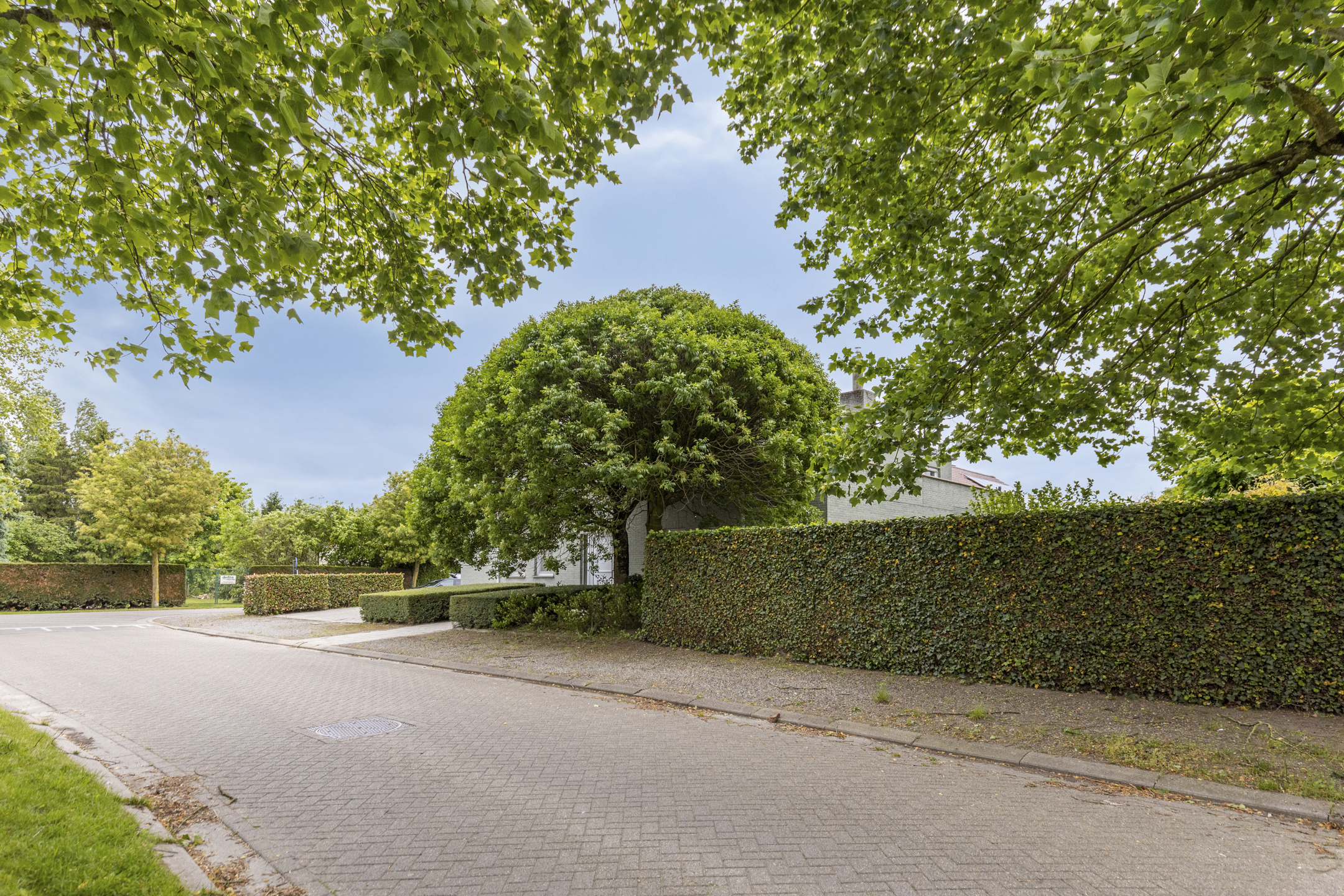 Woning met 47 m² multifunctionele ruimte te Hoogstraten - foto 5