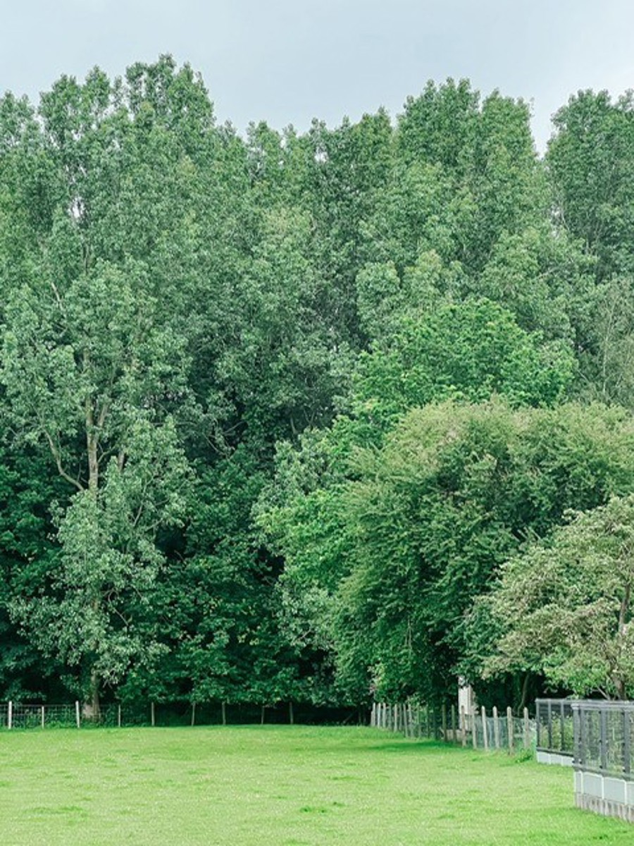 centraal gelegen bouwgrond  - foto 5