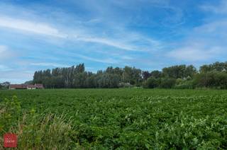 Perceel grond van ca. 3,2ha gelegen in recreatief parkgebied. Geschikt voor dagrecreatie...