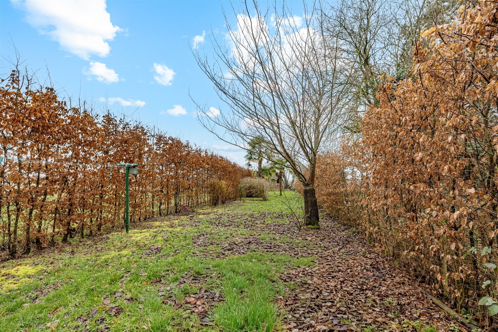 Gezellige woning met 3 slpks op een perceel van 7a 4ca - foto 2