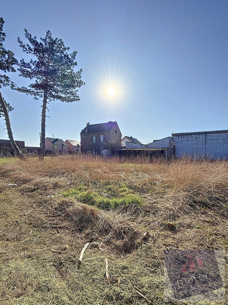 Land for sale in Rummen - photo 4