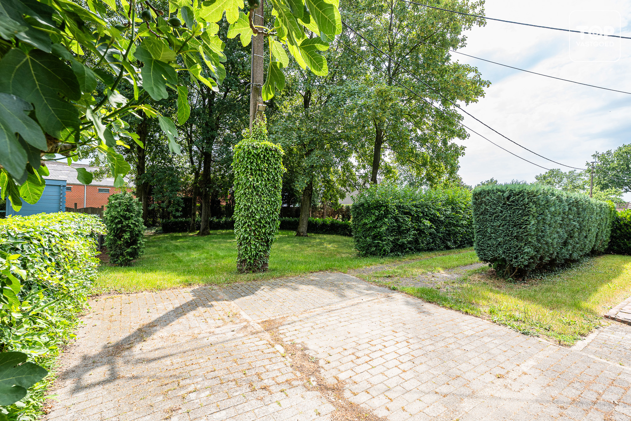 Huis te koop in Lokeren met 1 slaapkamer - foto 5