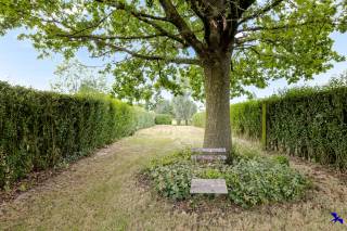 Welkom in Zele!<br /><br />Op zoek naar een uiterst rustig gelegen woning, omringd door groen en uitgestrekte velden, waar u volledig naar eigen smaak kunt afwerken? Zoek niet verder!<br /><br />Deze stijlvol gerenoveerde woning bevindt zich op het einde van een rustige zijstraat op de Heikant en combineert een unieke, landelijke ligging met een uitstekende bereikbaarheid. Bakker, beenhouwer, brasserie, school en de lokale voetbalclub bevinden zich hier op wandel- of fietsafstand. Bovendien zijn de E17, het station van Zele en de belangrijkste invalswegen bijzonder vlot bereikbaar.<br /><br />De woning werd de voorbije jaren volledig gestript en zeer grondig gerenoveerd. Alle belangrijke technieken zijn reeds voorzien, waaronder vloerverwarming, elektriciteit en sanitair. Dankzij de casco+ afwerkingsgraad beschikt u over een kwalitatieve basis om de woning volledig naar eigen smaak af te werken. Met een bewoonbare oppervlakte van ca. 140 m² op een perceel van 510 m² geniet u van een doordachte indeling, veel natuurlijke lichtinval en het behoud van authentieke elementen. <br />De zonnige, west-gerichte tuin met prachtige eikenboom vormt zonder twijfel één van de grootste troeven.<br /><br />Via de ruime inkomhal bereikt u een apart gastentoilet, de technische berging/wasplaats en een polyvalente ruimte die zich uitstekend leent als bureau, hobbykamer of extra slaapkamer. Verder beschikt het gelijkvloers over een aangename, lichtrijke leefruimte met open keuken en eetplaats, die dankzij de grote raampartijen naadloos aansluit op het zonnige terras en de tuin.<br />Op de eerste verdieping bevinden zich een ruime slaapkamer, de badkamer en een lichtrijke mezzanine met prachtig uitzicht op de omliggende velden. Deze ruimte kan perfect dienst doen als bureau, leeshoek of hobbyruimte.<br />De tweede verdieping omvat een royale ruimte van ca. 40 m², die reeds doordacht werd ingedeeld zodat ze eenvoudig kan worden ingericht als twee volwaardige slaapkamers. Hierdoor beschikt de woning vandaag over drie slaapkamers, met de mogelijkheid om een vierde slaapkamer te creëren, volledig afgestemd op uw eigen woonwensen.<br /><br />De gevisualiseerde interieurbeelden in deze advertentie zijn AI-visualisaties en dienen uitsluitend ter illustratie van het mogelijke eindresultaat.<br /><br />Benieuwd naar de mogelijkheden van deze verborgen parel? <br />Contacteer ons via 03 230 00 14 of info@hiro.be en plan uw rondleiding op Sportstraat 17.