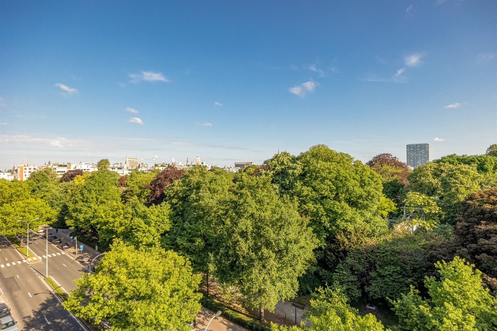 Stadspark ∣ Stijlvol hoekappartement met uniek uitzicht - foto 3