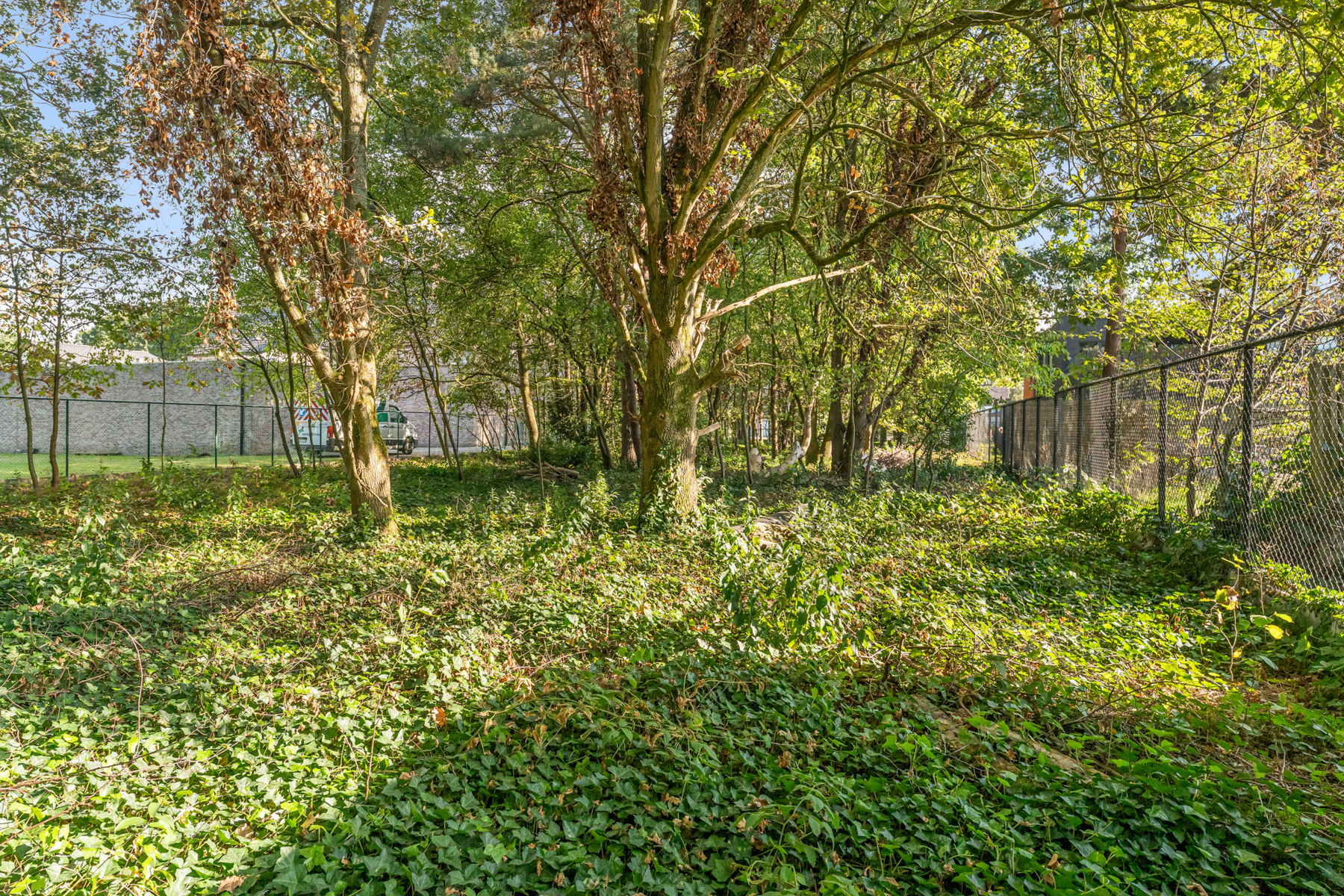 Unieke villa- /projectgrond in Bokrijk - foto 4
