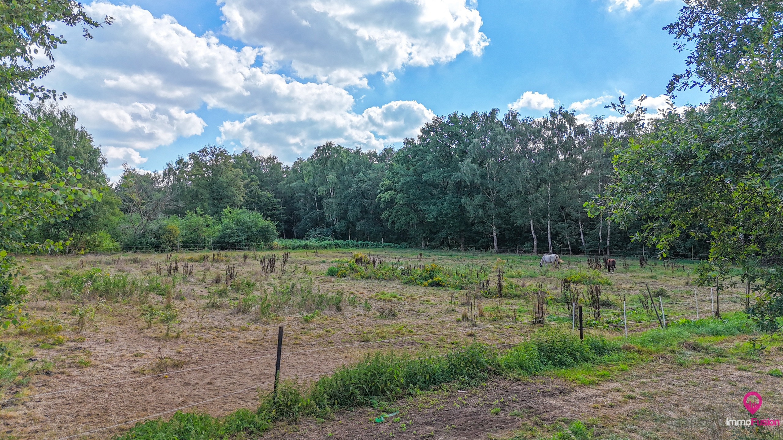 Uitgestrekt perceel van 3 hectare landbouw- of paardenweide! - foto 4