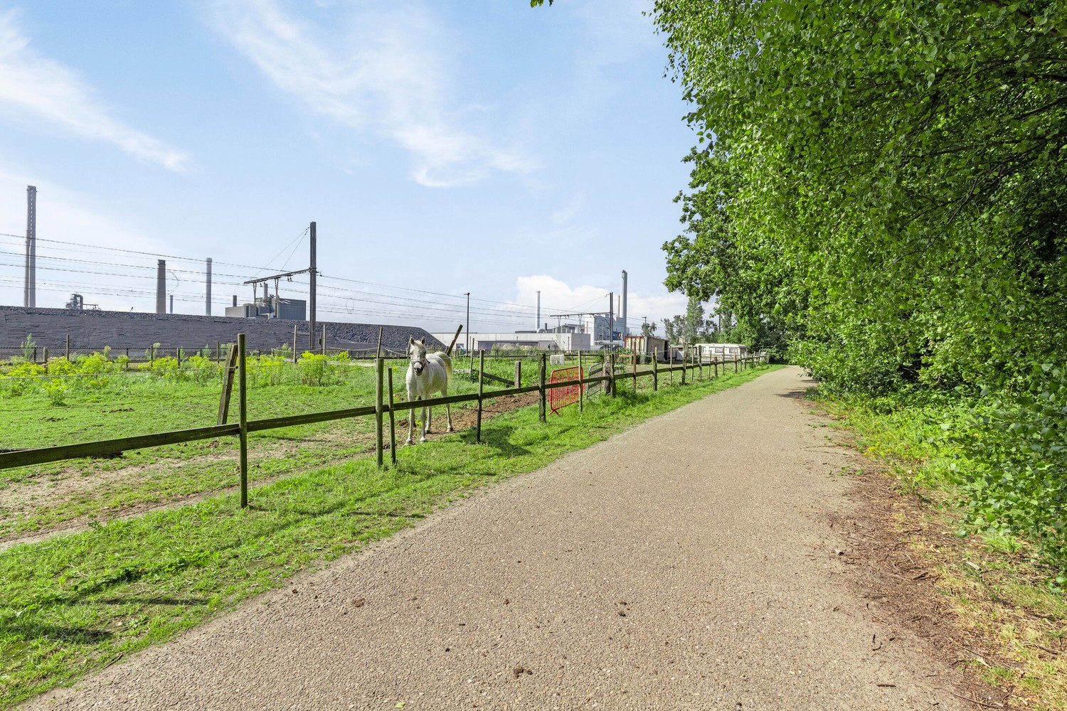 Ruim perceel met meerdere mogelijkheden - foto 4