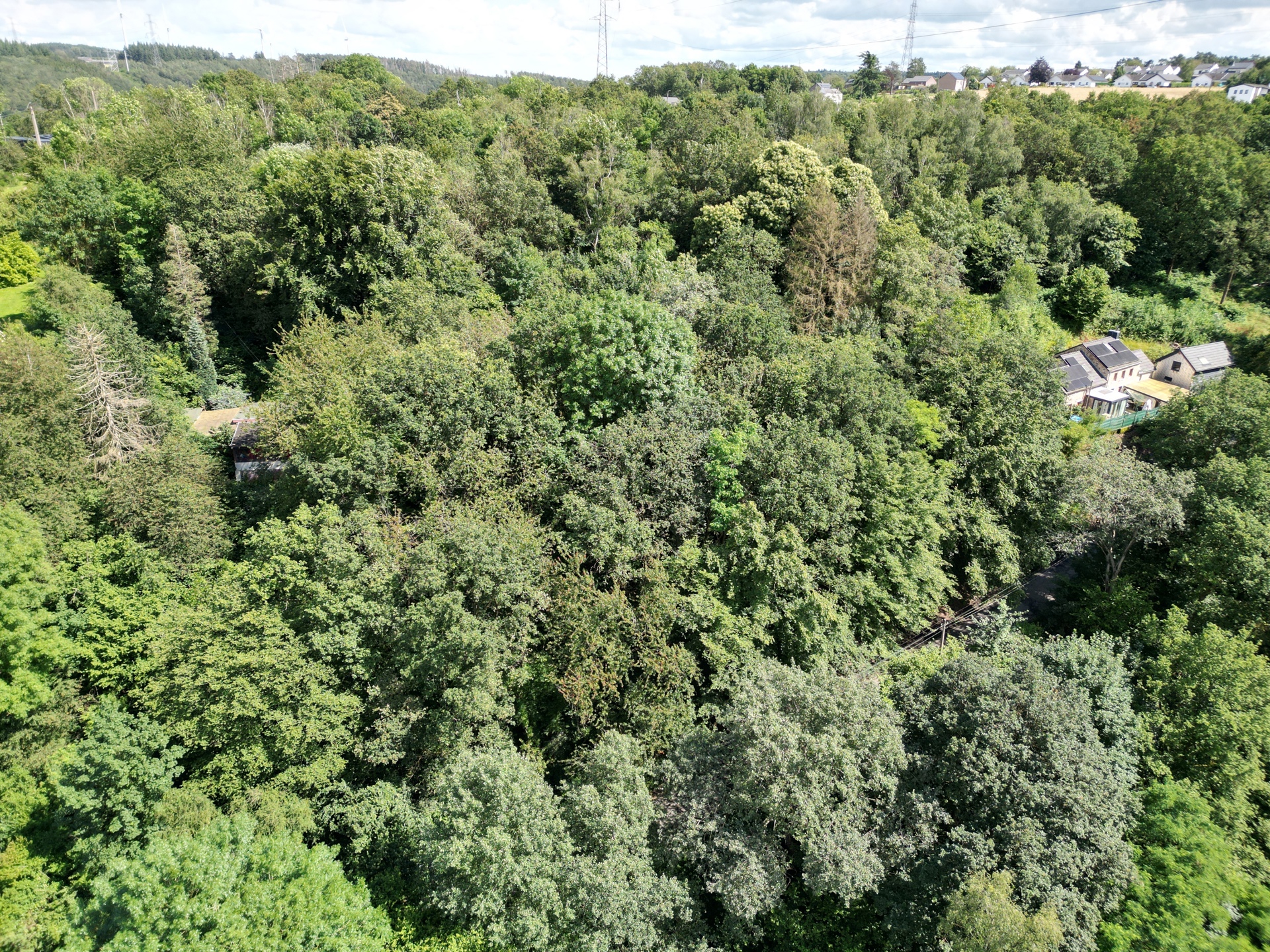 Grond te koop in Marchin - foto 5