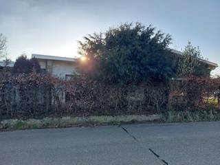 Volledig te renoveren of herbouwen laagbouwwoning op hoekperceel.<br />Gelegen aan de steenweg vlakbij bos, wandel en fietsroutes.<br />Aangename buren, vlakbij centrum Poederlee, openbaar vervoer, 7 min verwijderd van snelweg oprit.<br /><br />Aanbouw in slechte staat.<br />Ruime woning met grote garage, tuin, 4 slaapkamers, hobby/ bureau ruimte, 2 leefruimtes, keuken, badkamer , apart toilet , wasruimte, kelder, terras en veranda.<br />190 vierkantemeter woonoppervlakte.<br />769 vierkantemeter perceeloppervlakte.<br />Volledig te renoveren/ strippen of af te breken en herbouwen. <br /><br />Indeling: inkomhal, links toegang tot grote leefruimte, rechtdoor toegang tot keuken en 2de leefruimte.<br />2de leefruimte geeft toegang tot hobby/ bureauruimte, veranda, wasruimte , toilet en achterdeur.<br />Achter de keuken bevindt zich de badkamer, dubbele lavabo ,bad en warmwaterboiler.<br />Keuken geeft toegang tot de nacht hal en de 4 slaapkamers. Alles gelijkvloers.<br /><br /><br /><br />