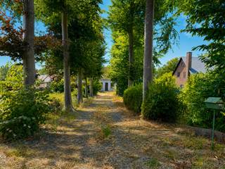 Eigendom <strong>MET TWEE AFZONDERLIJKE WONINGEN</strong> op een <strong>PERCEEL VAN 1.345M² </strong>met een <strong>STRAATBREEDTE VAN CA. 23M.</strong> Deze eigendom met <strong>TWEE APARTE HUISNUMMERS</strong> biedt een bijzonder flexibel kader voor wie op zoek is naar een <strong>RENOVATIEPROJECT </strong>of potentieel voor zorgwonen, kangoeroewonen of <strong>CO-HOUSING</strong>. Beide woningen zijn volledig te renoveren of komen in aanmerking voor <strong>AFBRAAK EN HEROPBOUW </strong>van <strong>1 OPEN BEBOUWING</strong>, waarbij het <strong>VERLAAGDE BTW-TARIEF VAN 6%</strong> mogelijk toepasbaar is volgens de geldende voorwaarden. Gelegen in het <strong>GLOOIEND LANDSCHAP VAN DE ZWALMSTREEK</strong> en met vlotte verbinding naar Zottegem, Brakel en <strong>OUDENAARDE</strong>.<br /><br />Elk project en elke omgevingsvergunningsaanvraag is onderworpen aan goedkeuring door de <strong>GEMEENTE ZWALM</strong>.<br /><br /><br />Adres: Zuidlaan 206-208 te Zwalm<br /><br />Renovatieplicht van toepassing; Bestuursmaatregelen in het maatregelenregister: Neen; P-score: A, G-score: A