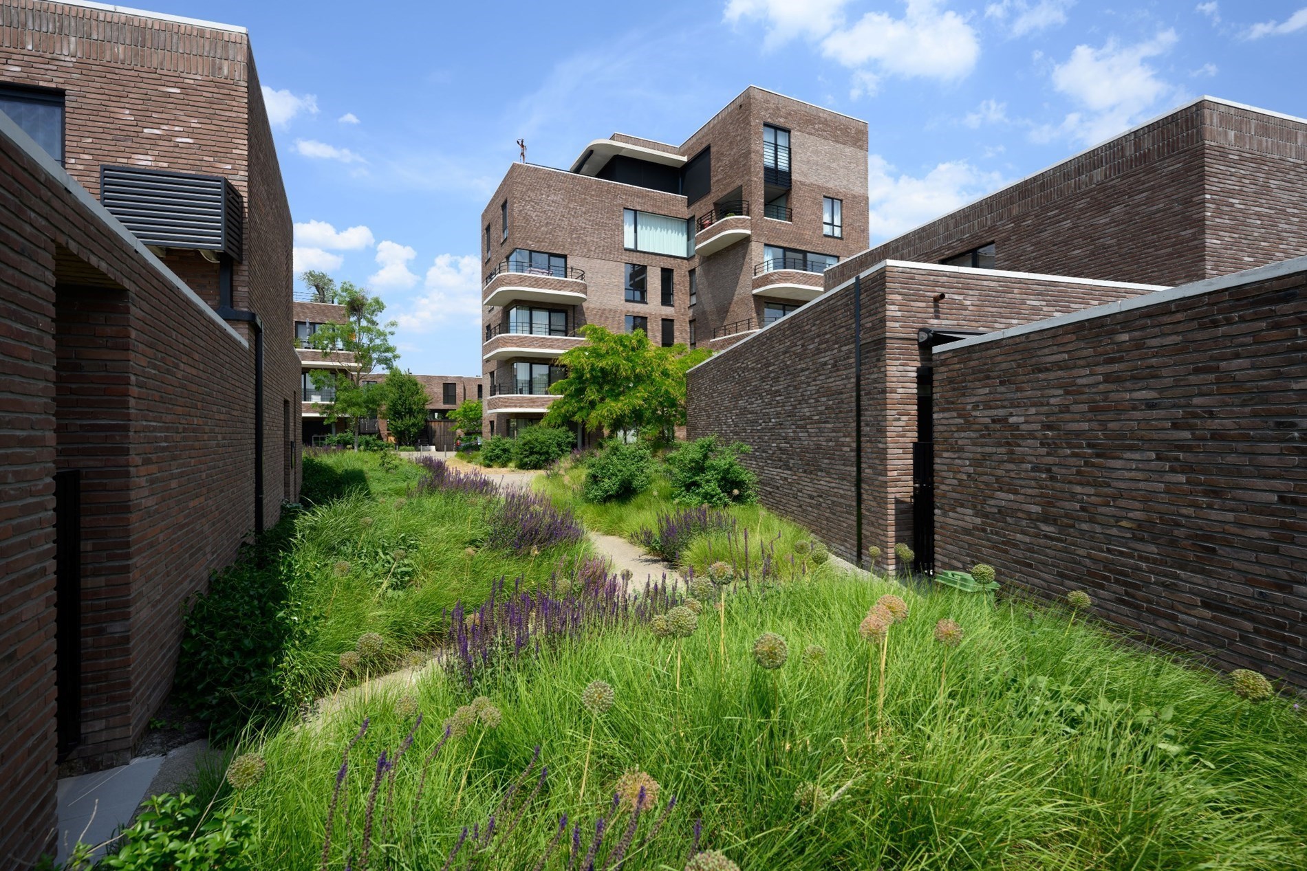 Exclusief appartement met een bewoonbare oppervlakte van 191m², ruime terrassen te Hasselt. - foto 1