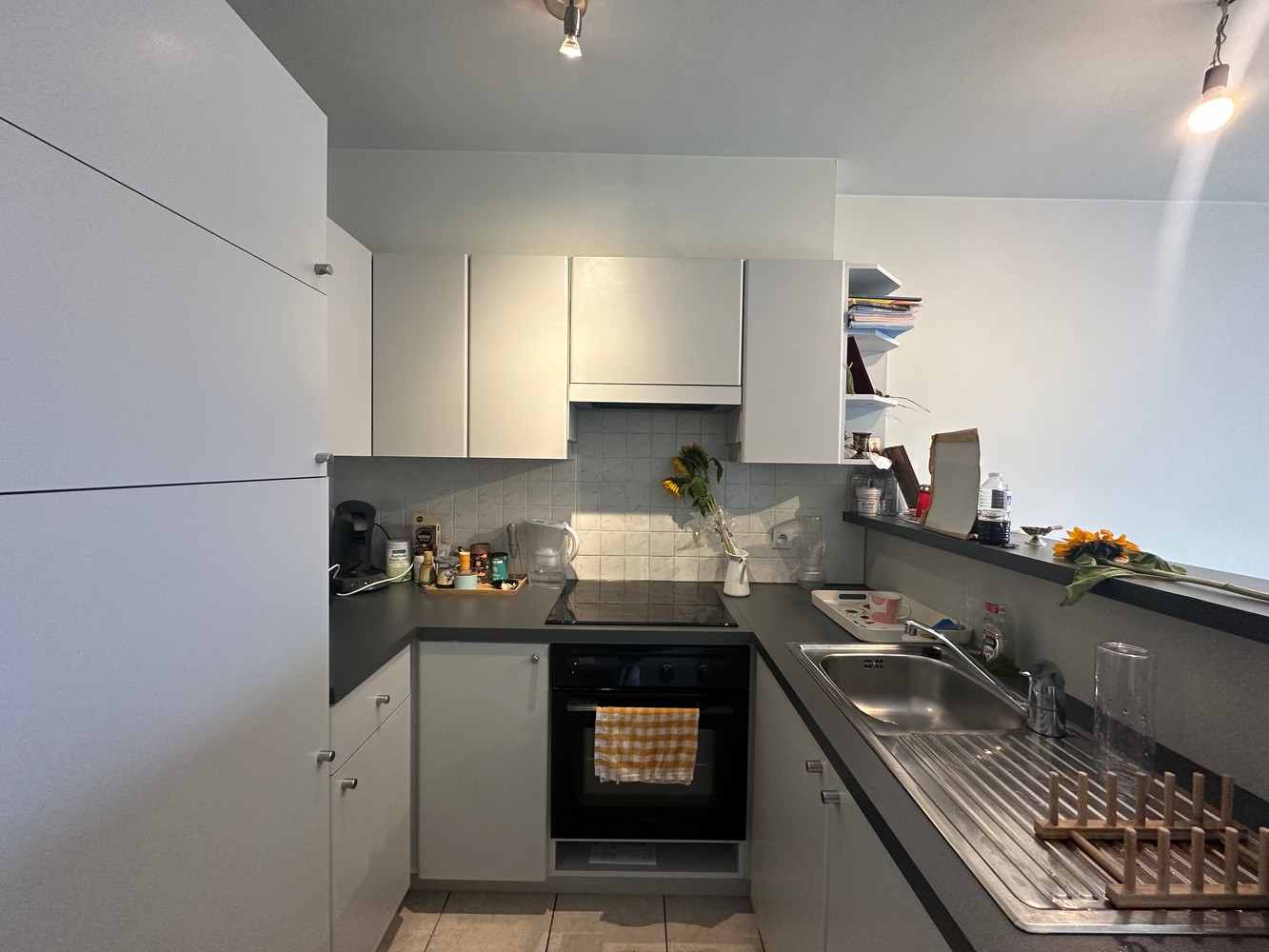 RESIDENTIE DISTELVINK - foto 4