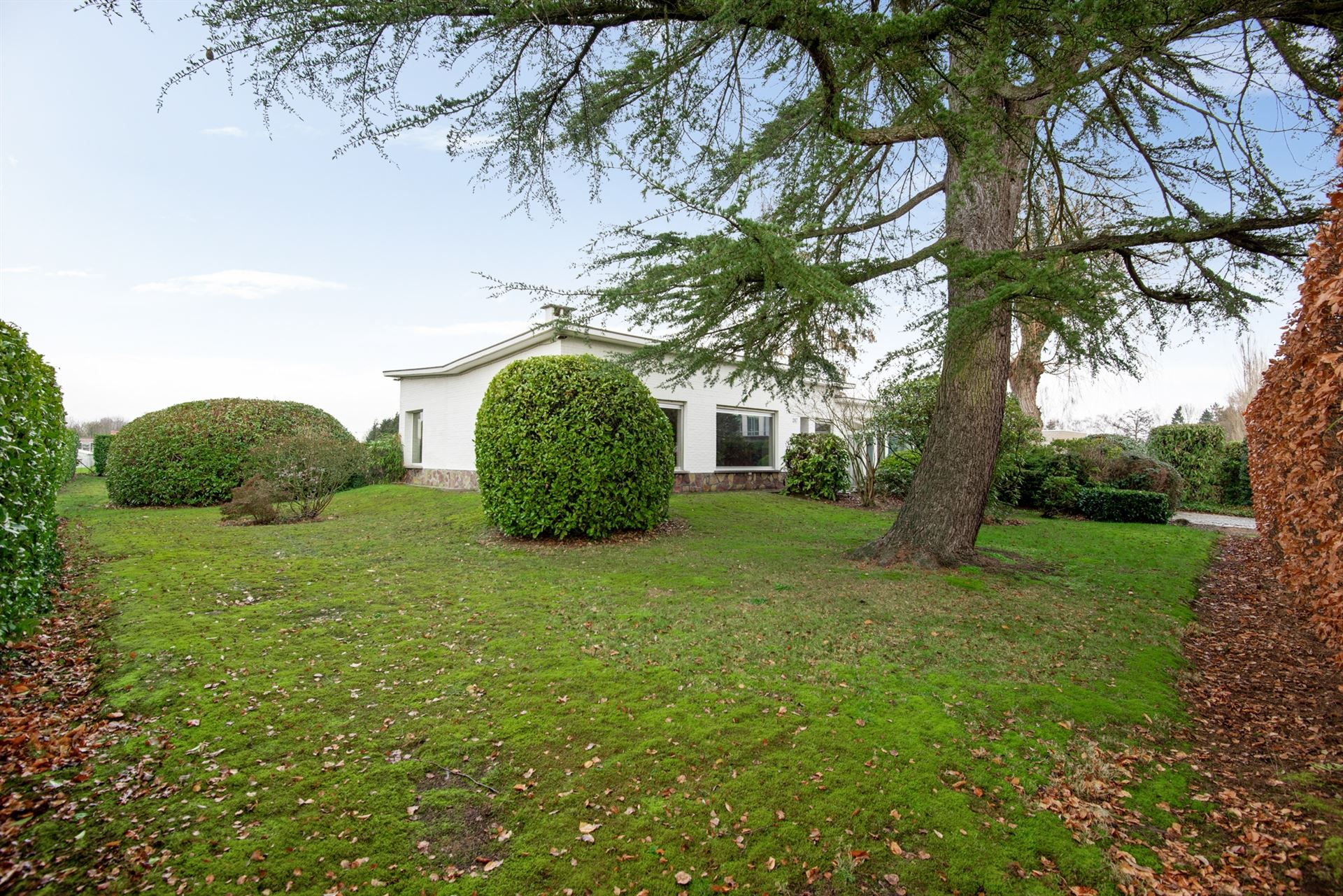 Rust, ruimte en potentieel: open bebouwing in Duffel - foto 3