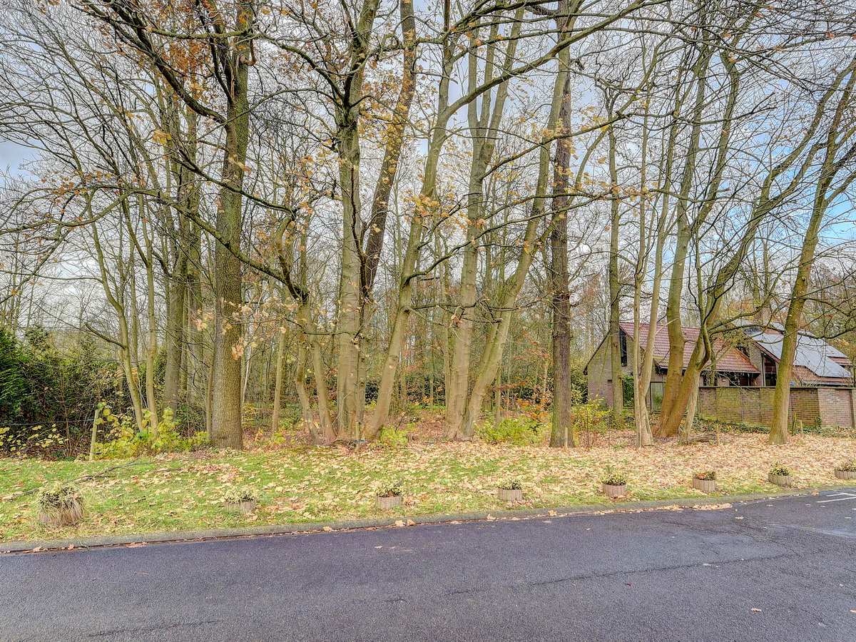 Te koop: Rustig gelegen grond in villawijk - foto 4