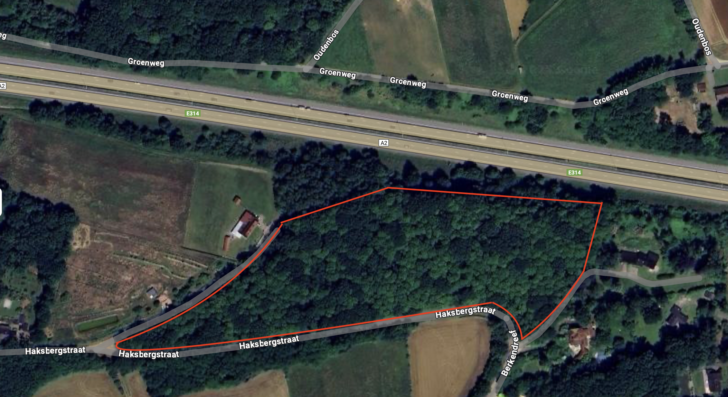 Bosgrond te koop op residentiële locatie Tielt Winge 2,7 Ha - foto 2