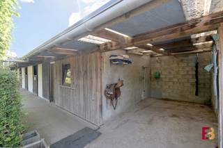 Paarden aan huis, zonder in te boeten aan wooncomfort? Deze eigendom combineert een <strong>grondig gerenoveerde woning met een bijzonder complete paardenaccommodatie</strong>, een aangelegde piste, paddocks en weides op ca.<strong> 1,2 hectare</strong>.<br /><br />De oorspronkelijke woning werd doorheen de jaren volledig gestript en gefaseerd vernieuwd. Niet alleen de zichtbare afwerking, maar ook de funderingen, vloeren, muren, elektriciteit, ramen en het dak werden aangepakt. Zonnepanelen, airconditioning en centrale verwarming op gas zorgen vandaag voor hedendaags wooncomfort.<br /><br />Binnen wacht een warme, karaktervolle leefomgeving met een <strong>ruime, volledig uitgeruste keuken</strong>, een gezellige zithoek, een recente badkamer met dubbele lavabo, ligbad en douche, praktische berging en <strong>drie slaapkamers</strong>.<br /><br />Eén van de slaapkamers bevindt zich op het gelijkvloers en beschikt bovendien over een <strong>eigen, rechtstreekse toegang van buitenaf</strong>. Ideaal als extra slaapkamer, maar evengoed als <strong>praktijkruimte voor een vrij beroep, thuiskantoor of afzonderlijke bureauruimte</strong>, zonder dat bezoekers door de privévertrekken hoeven.<br />Kwalitatieve materialen zoals natuursteen, keramische tegels en parket geven de woning extra uitstraling.<br /><br /><u><strong>Maar de absolute blikvanger bevindt zich buiten.</strong></u><br /><br />De paardenaccommodatie werd eveneens grondig vernieuwd en is praktisch ingericht voor wie zijn paarden professioneel of hobbymatig aan huis wil houden. Je beschikt onder meer over:
<ul>
<li>5 ruime paardenboxen, waaronder een grote merrie-veulenbox</li>
<li>camerabewaking in de stallen</li>
<li>zadelkamer/werkkot en voederberging</li>
<li>overdekte wasplaats</li>
<li>aparte opslag voor hooi en stro</li>
<li>mestopslag</li>
<li>automatische drinkbakken</li>
<li>gedraineerde buitenpiste van ca. 20 x 50 m met tapijtvezelbodem</li>
<li>3 verlichte zandpaddocks</li>
<li>ca. 1,2 ha volledig omheinde gronden</li>
<li>ledverlichting rondom de paardeninfrastructuur</li>
<li>regenwaterput van 15.000 liter voor de stallen</li>
</ul>
Ook aan het praktische aspect werd gedacht: de toegangspoorten zijn voorzien van elektrische sloten en parlofoon met bediening op afstand, er is een buitentoilet en aan de toegang tot de stallen werden Mudcontrol-tegels voorzien.<br /><br />Een eigendom voor wie droomt van <strong>wonen en paarden houden op één plek</strong>, met een infrastructuur die al klaarstaat.<br /><br /><strong>Een plek die je moeilijk in cijfers of foto's alleen kan vatten. Kom kijken, wandel door de stallen en langs de piste, en ontdek zelf hoeveel mogelijkheden hier samenkomen.</strong>