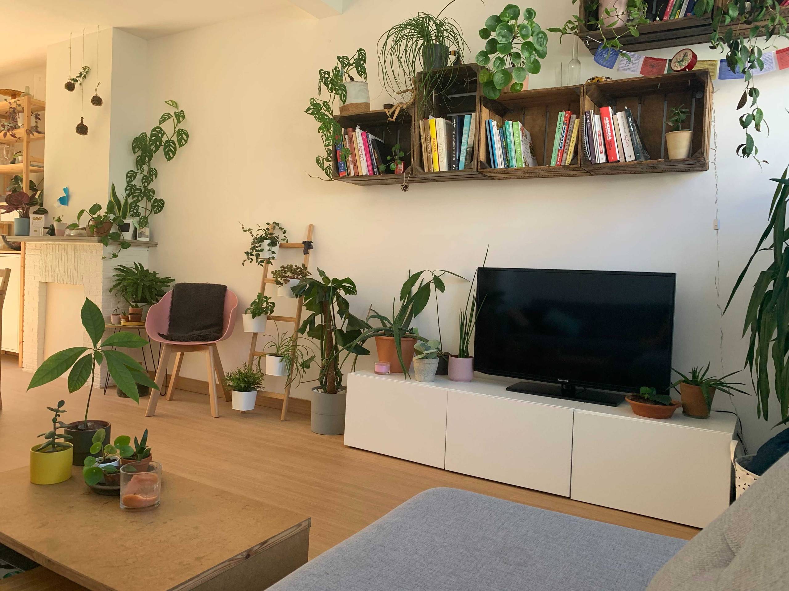 Huis te koop in Edegem met 3 slaapkamers - foto 4