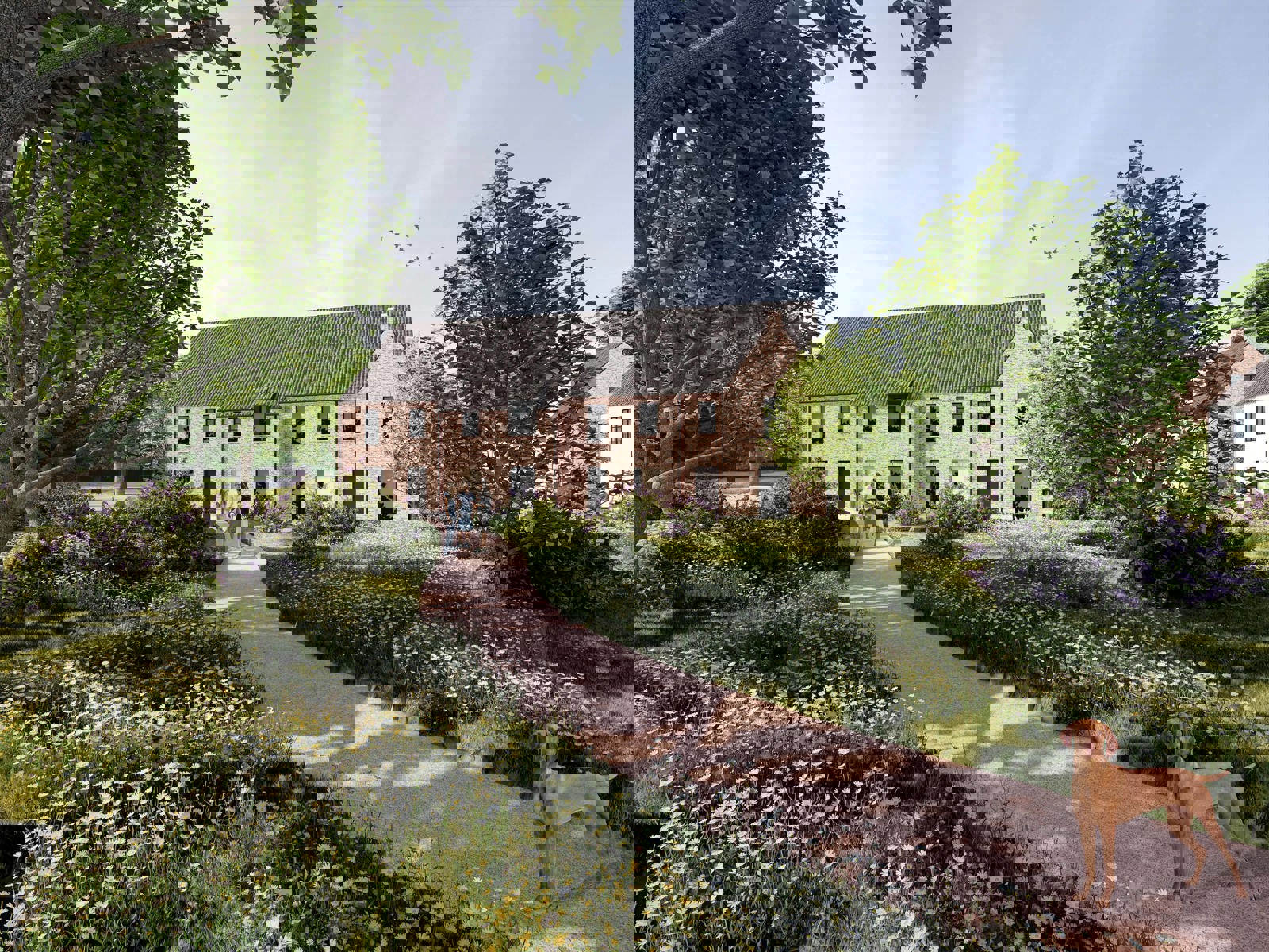 Huis te koop in Leuven met 4 slaapkamers - foto 2