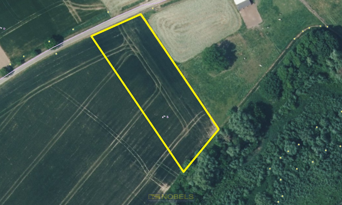 Te koop, landbouwgrond van 26a 94ca te Huise (Kruisem) - foto 1