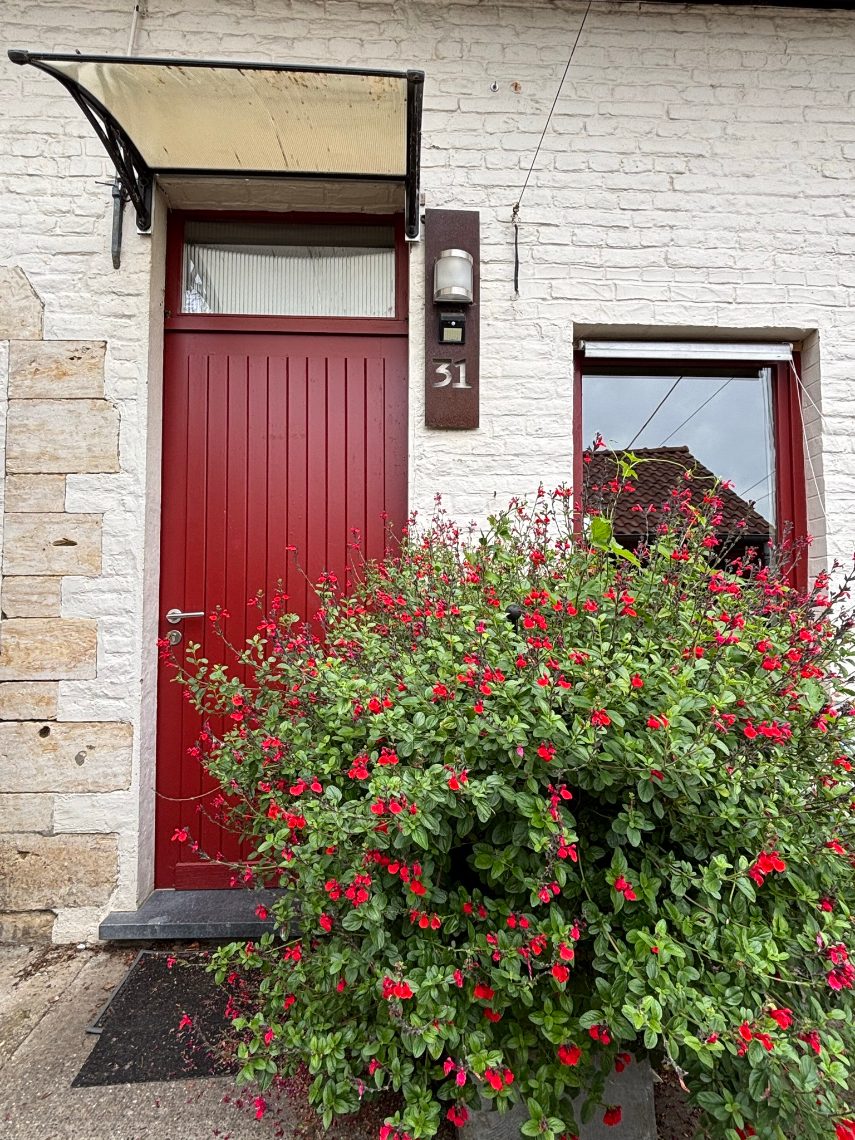 Maison à vendre à Bierbeek avec 4 chambres - photo 2