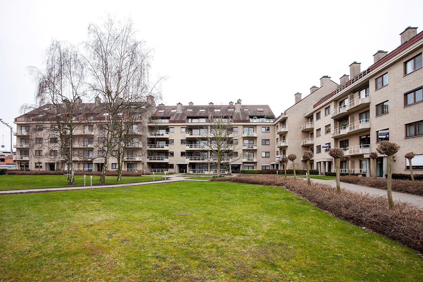 Ruim appartement met terras - foto 1