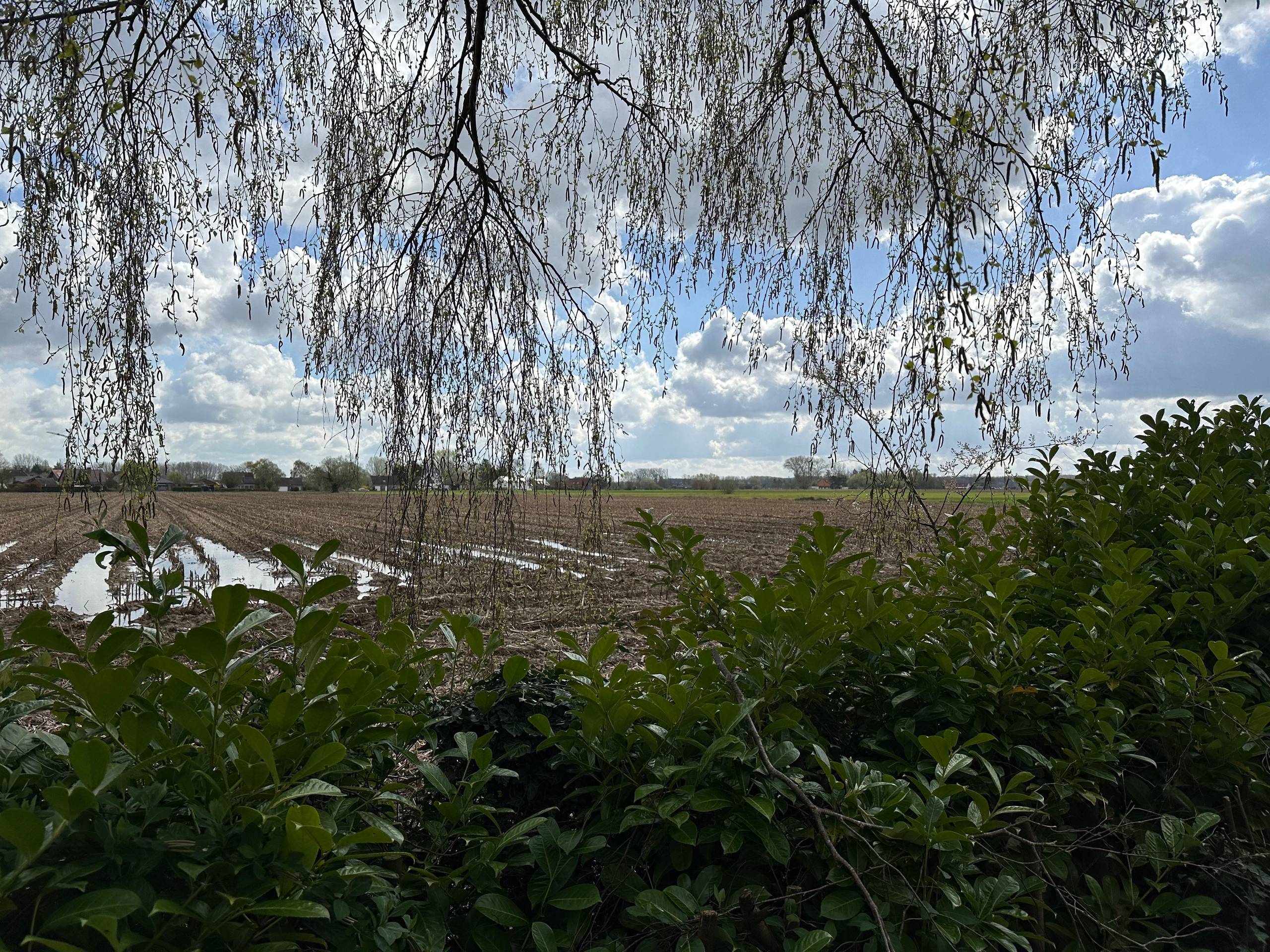 Grond te koop in Veltem-Beisem - foto 3