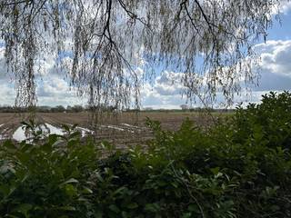 Bouwgrond te koop te HerentDeze prachtige bouwgrond is rustig en landelijk gelegen in de Haachtstraat te Veltem-Beisem. De grond heeft een...